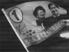 [Taiwan Independence Flag]
